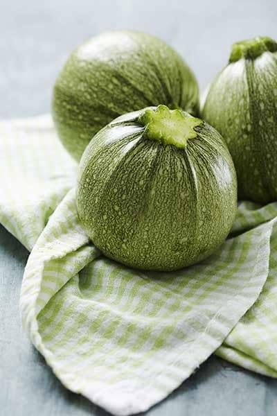 graines-bocquet-courge-g-ode-f1-graines-2g-pr-coce image 1
