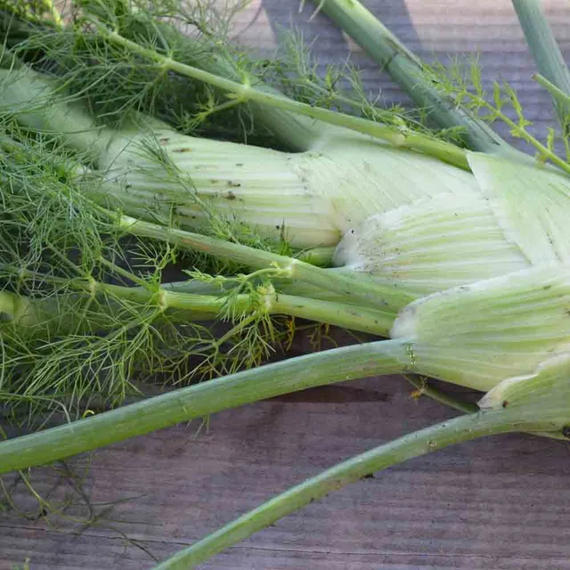 ferme-de-sainte-marthe-romanesco-fenouil-graines-sachet-bio-anis image 1
