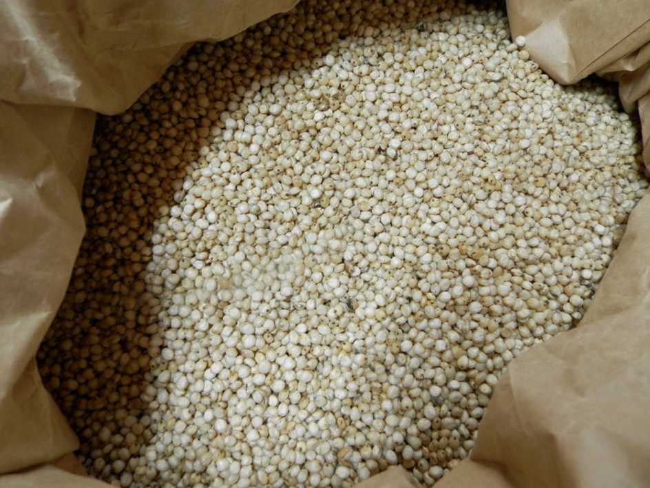la-bo-te-graines-sorgho-coral-bio-graines-l-gumes-grain image 3