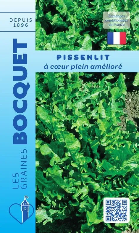 graines-bocquet-pissenlit-coeur-plein-am-lior-graines-0-5-g image 1