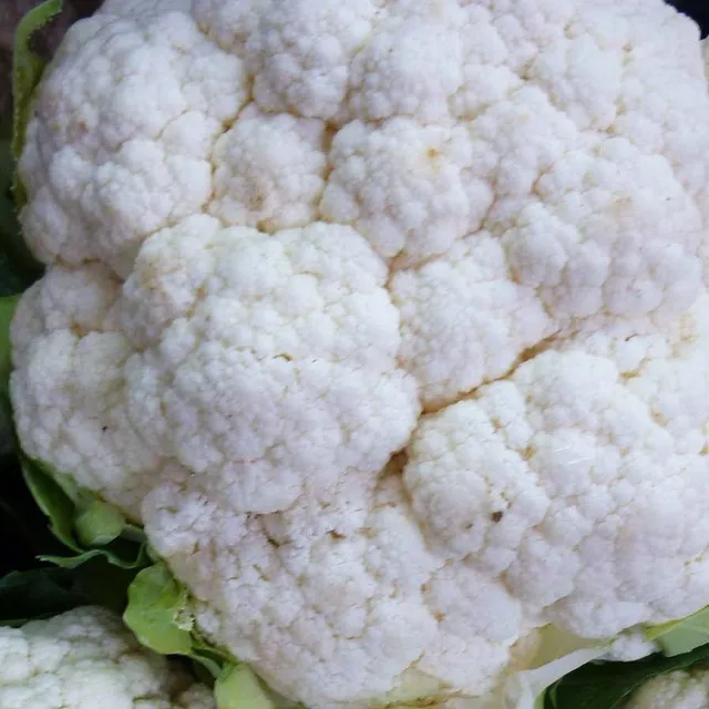 la-bo-te-graines-chou-fleur-boule-de-neige-graines-bio image 1