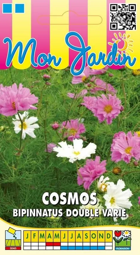 graines-bocquet-double-vari-graines-de-cosmos-1-g-fleur-annuelle image 1
