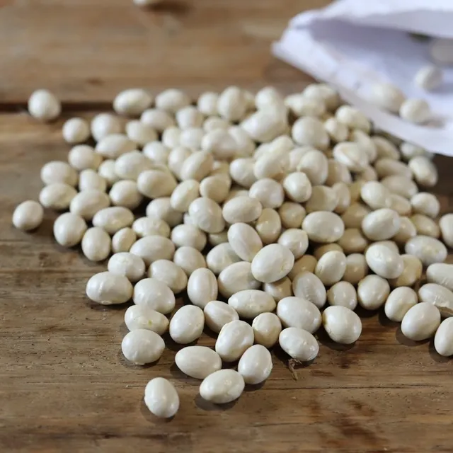 les-semences-de-l-ombelle-haricot-coco-de-cocagne-bio-graines image 1