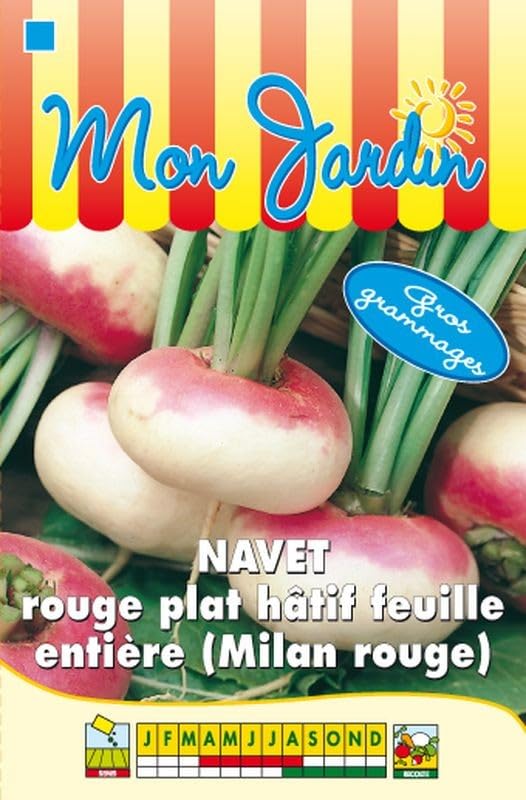 graines-bocquet-navet-rouge-plat-h-tif-graines-potag-res-15-g image 1