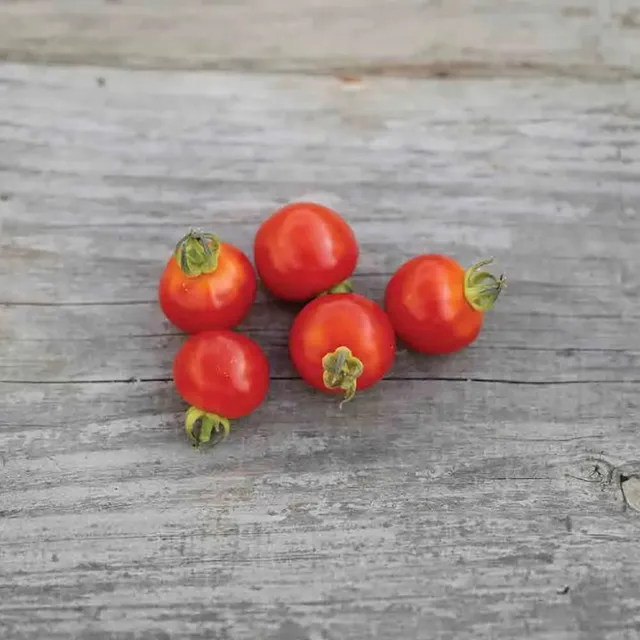 ferme-de-sainte-marthe-tomate-cerise-graines-bio-sachet-pr-coce image 1