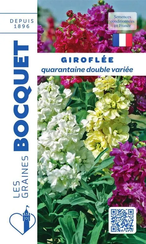 graines-bocquet-girofl-e-quarantaine-double-graines-fleurs-0-5-g image 1