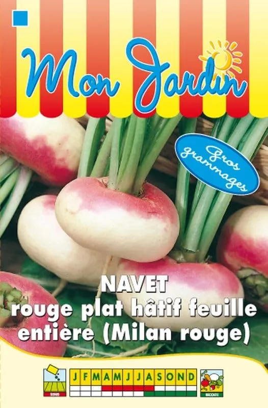 graines-bocquet-navet-rouge-plat-h-tif-graines-potag-res-15-g image 1