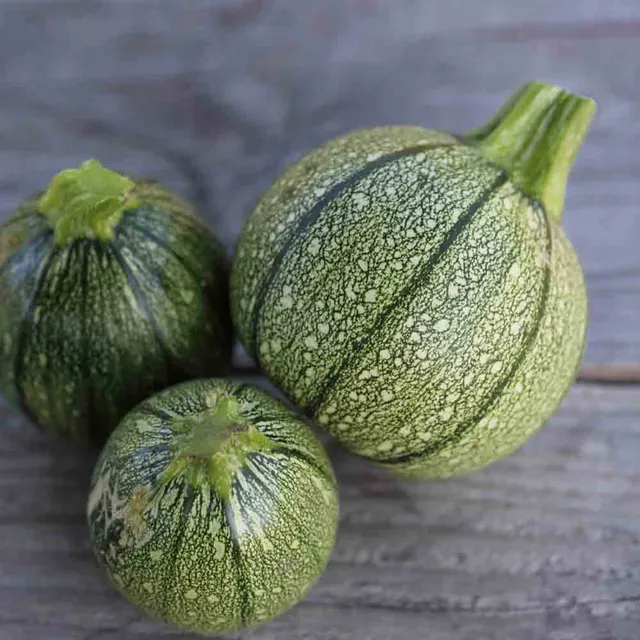 ferme-de-sainte-marthe-courgette-de-nice-fruit-rond-graines-bio-farcies image 1