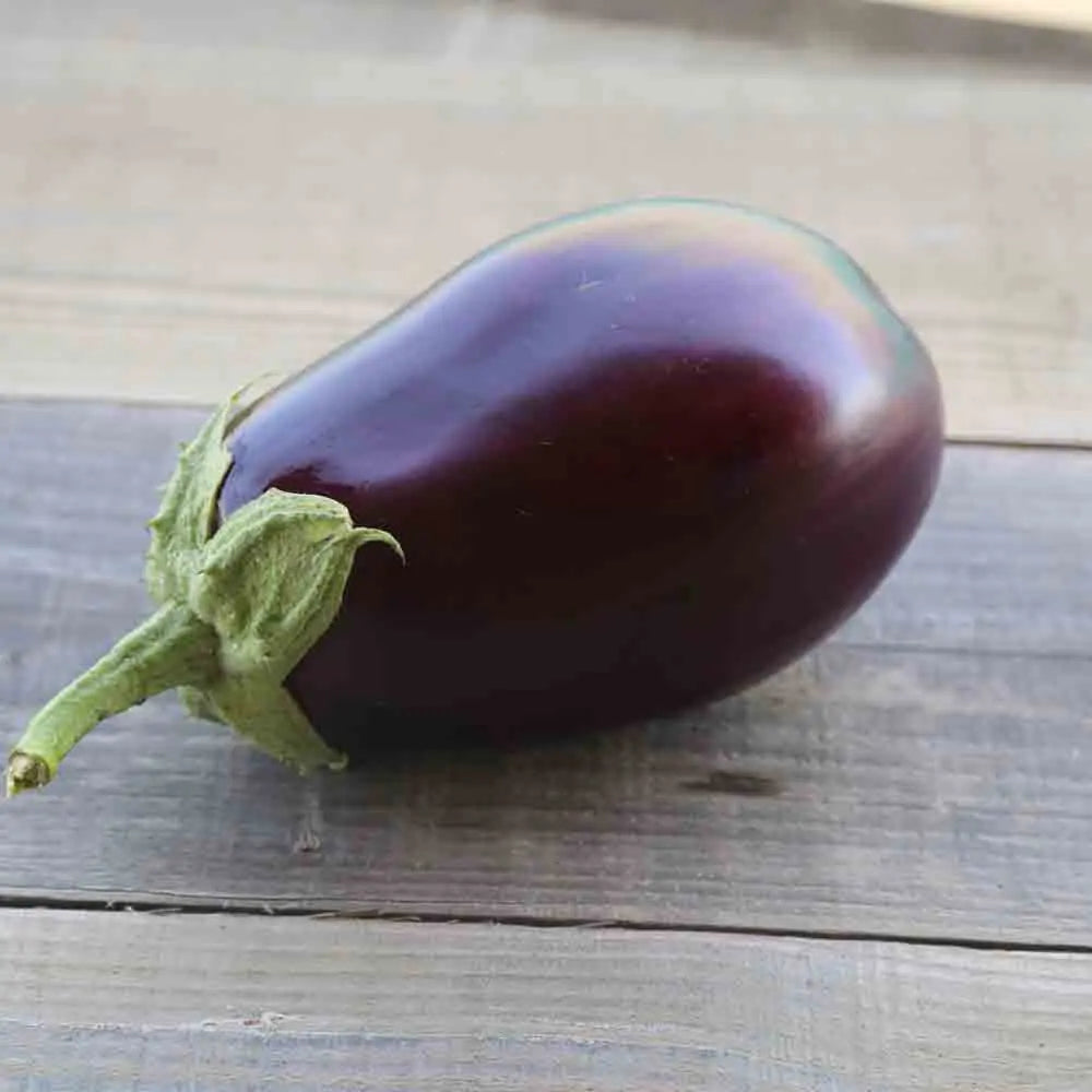 ferme-de-sainte-marthe-monstrueuse-de-new-york-aubergine-bio image 1
