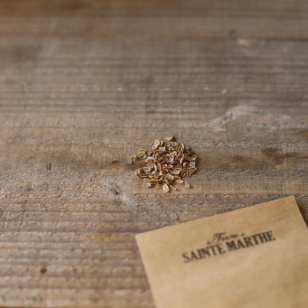 ferme-de-sainte-marthe-bouquet-graines-aneth-bio-sachet-aromatique image 2