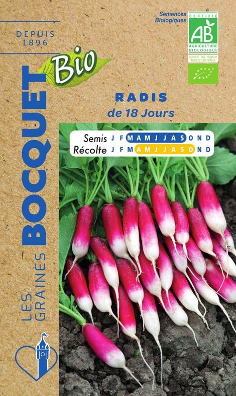 graines-bocquet-radis-de-18-jours-graines-bio-8-g-rapide image 1
