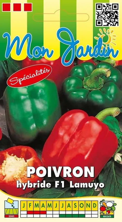 graines-bocquet-lamuyo-poivron-hybride-f1-0-3-g-gros-fruits image 1