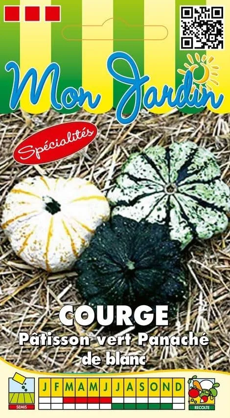 graines-bocquet-courge-p-tisson-vert-panach-blanc-3-g image 1