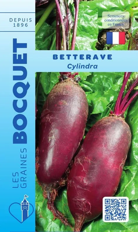 graines-bocquet-cylindra-graines-de-betterave-6g-non-hybrides image 1