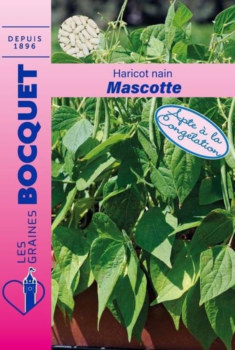 graines-bocquet-mascotte-haricot-nain-graines-50g image 1