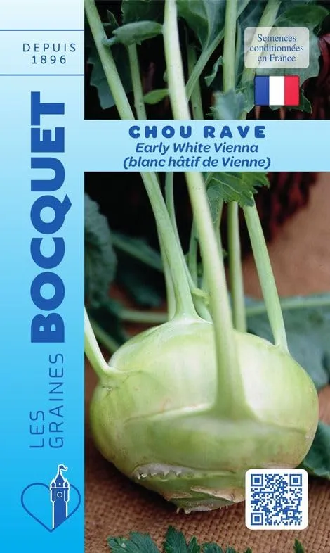 graines-bocquet-chou-rave-early-white-vienna-graines-3-g image 1