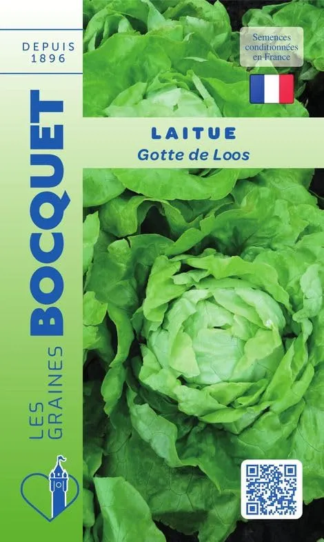 graines-bocquet-laitue-gotte-de-loos-graines-salade-2-g-pr-coce image 1