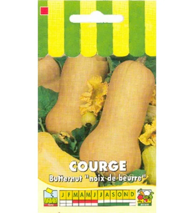 graines-bocquet-butternut-noix-de-beurre-graines-3-g-chair-douce image 1