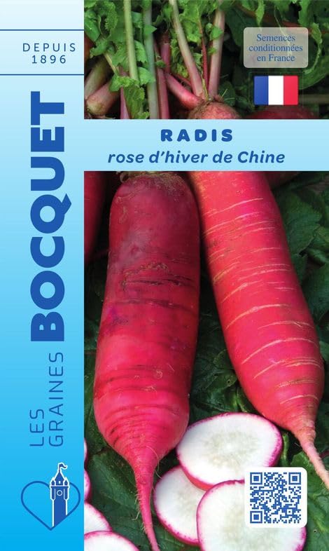 graines-bocquet-radis-rose-d-hiver-de-chine-graines-10-g image 1