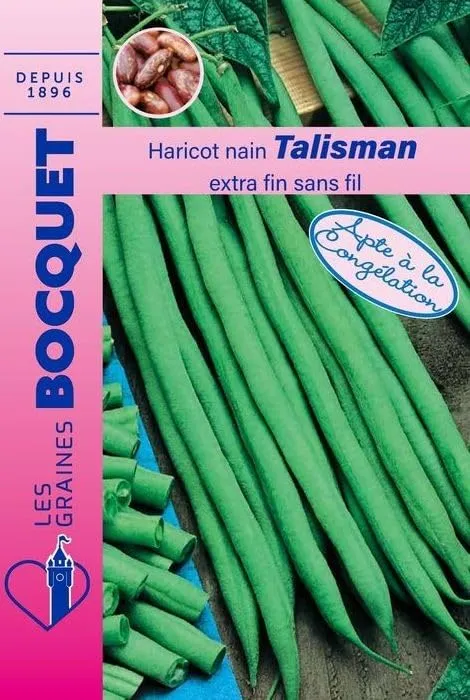 graines-bocquet-haricot-talisman-sachet-graines-70-g-sans-fil image 1