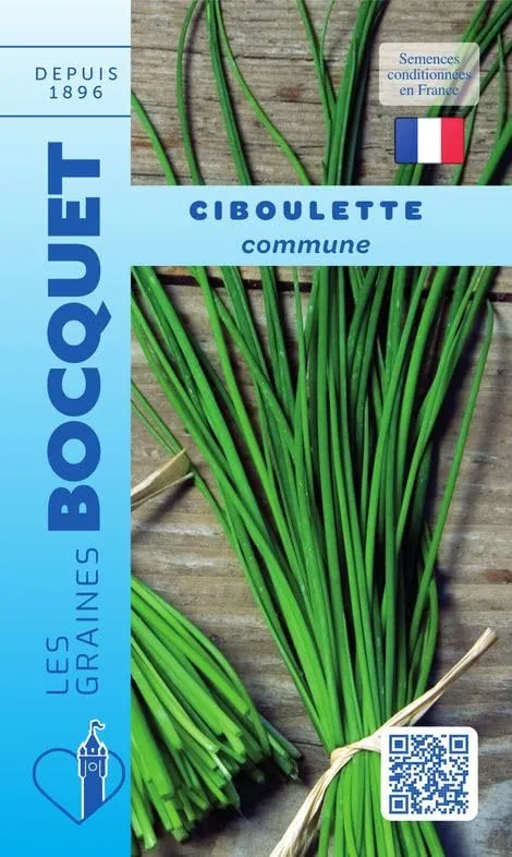 graines-bocquet-herbes-aromatiques-ciboulette-commune-graines-1-g image 1