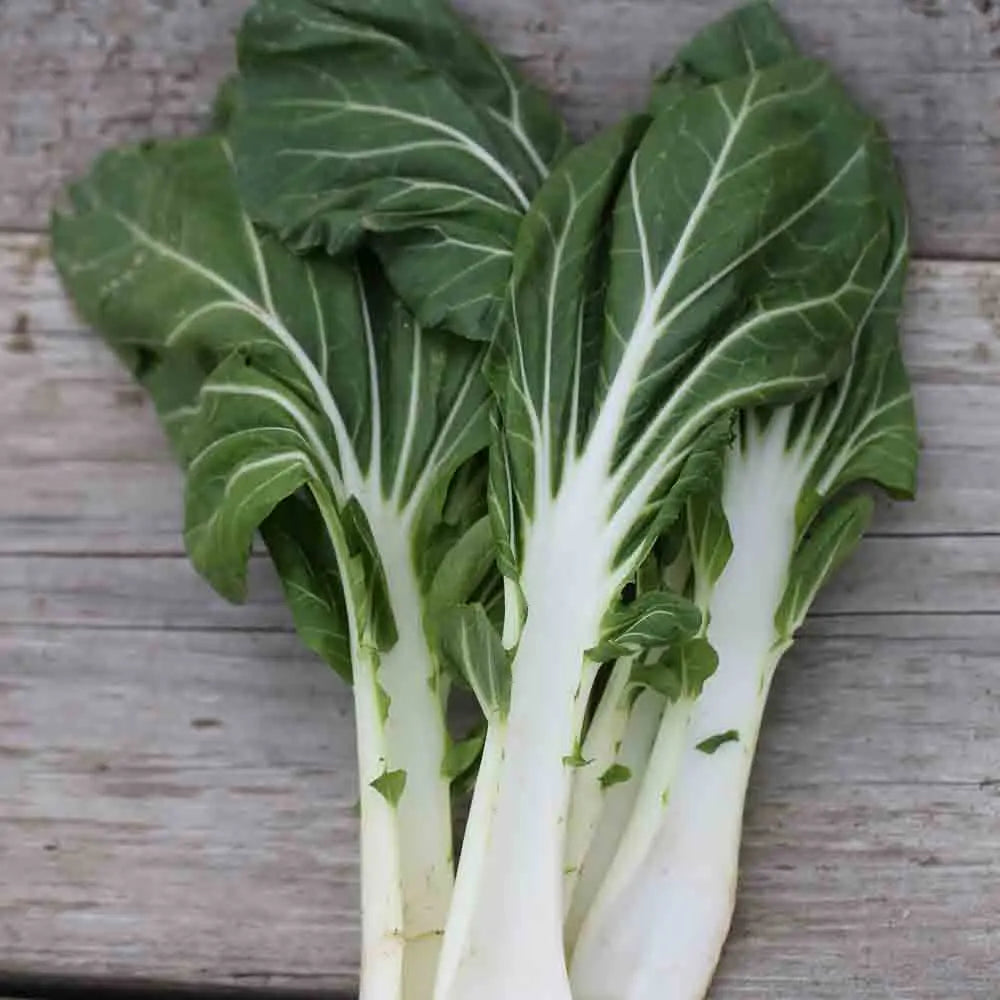 ferme-de-sainte-marthe-poir-e-verte-carde-blanche-blette-graines-bio image 1