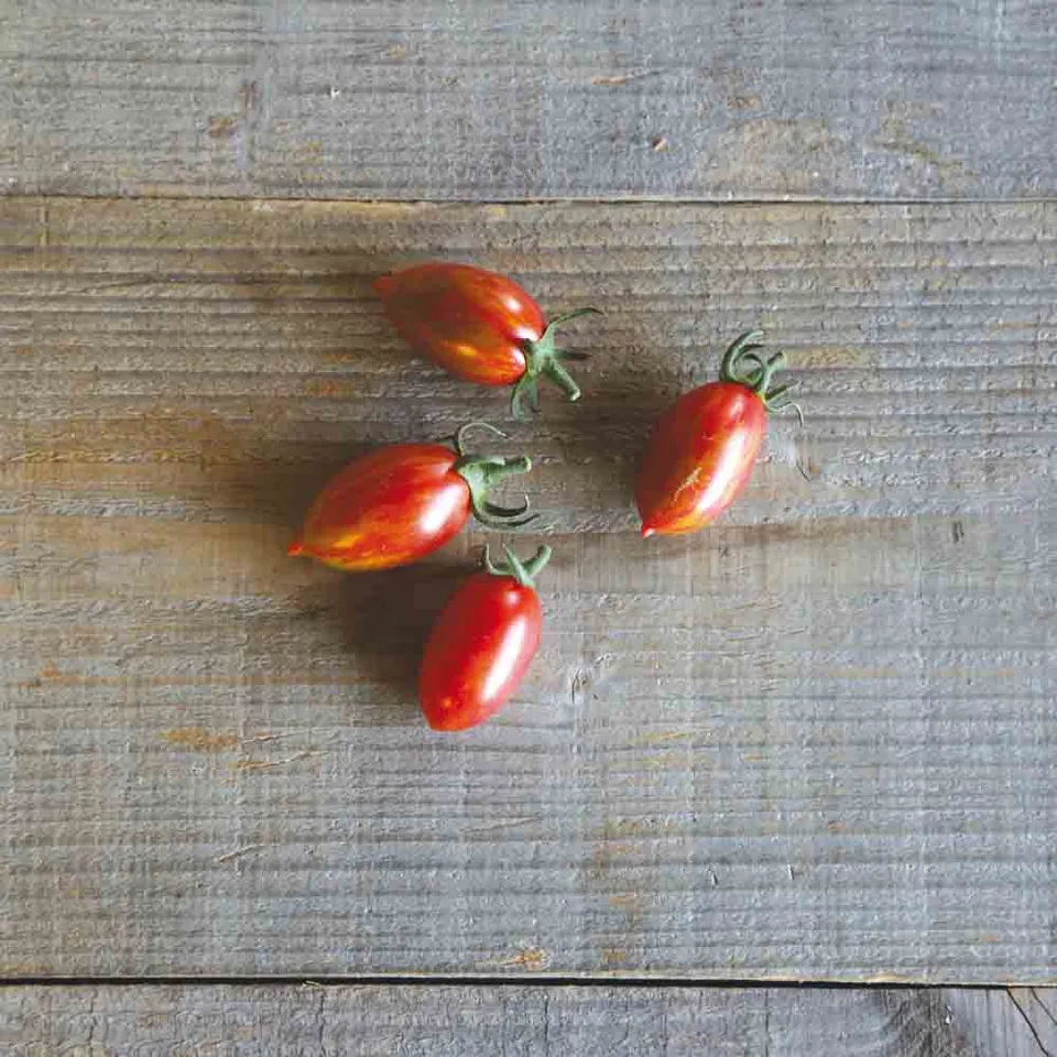 ferme-de-sainte-marthe-tomate-artisan-pink-tiger-graines-bio-cerise image 1