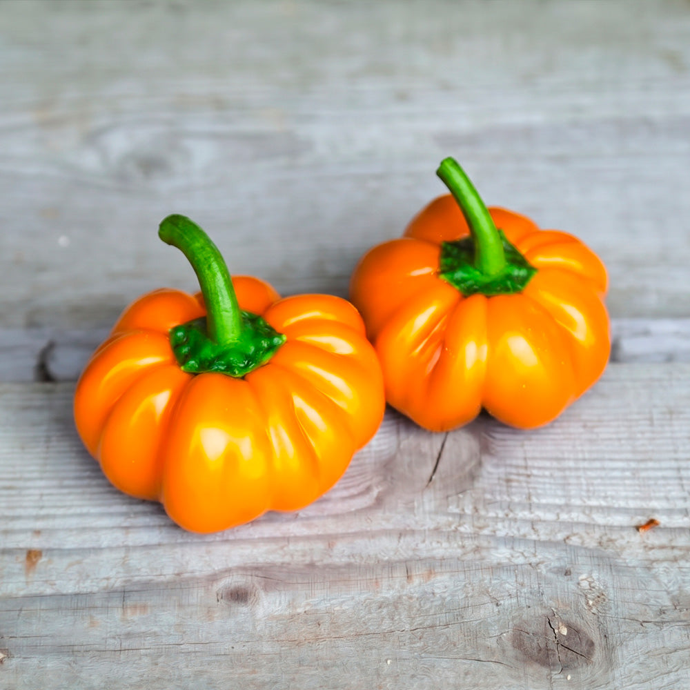 ferme-de-sainte-marthe-poivron-mandarine-ab-graines-potag-res-doux-orange image 1