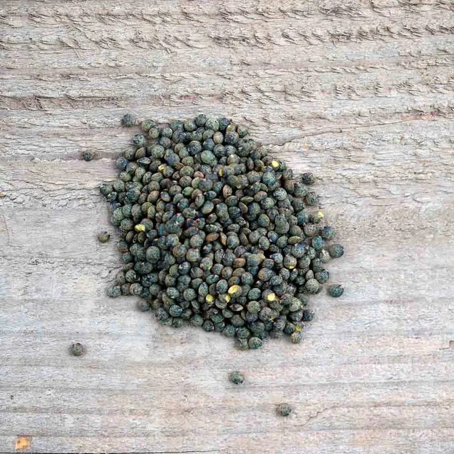 ferme-de-sainte-marthe-lentille-anicia-graines-bio-verte-fine image 1