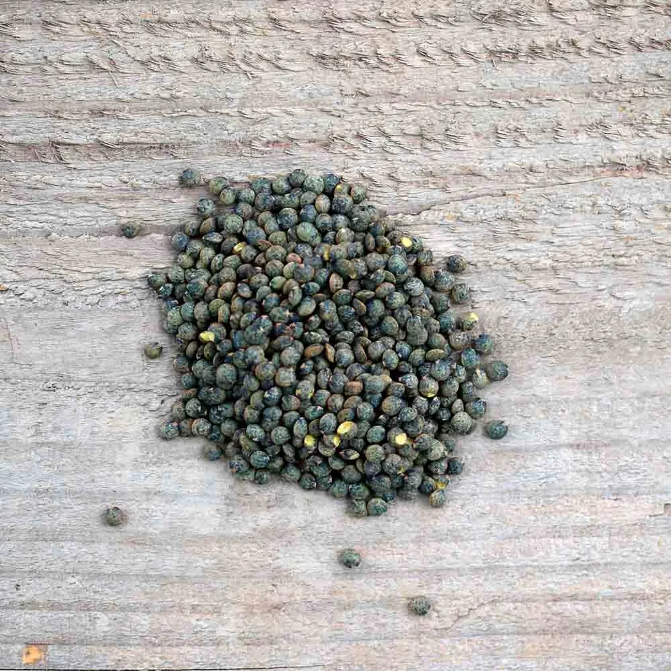 ferme-de-sainte-marthe-lentille-anicia-graines-bio-verte-fine image 1