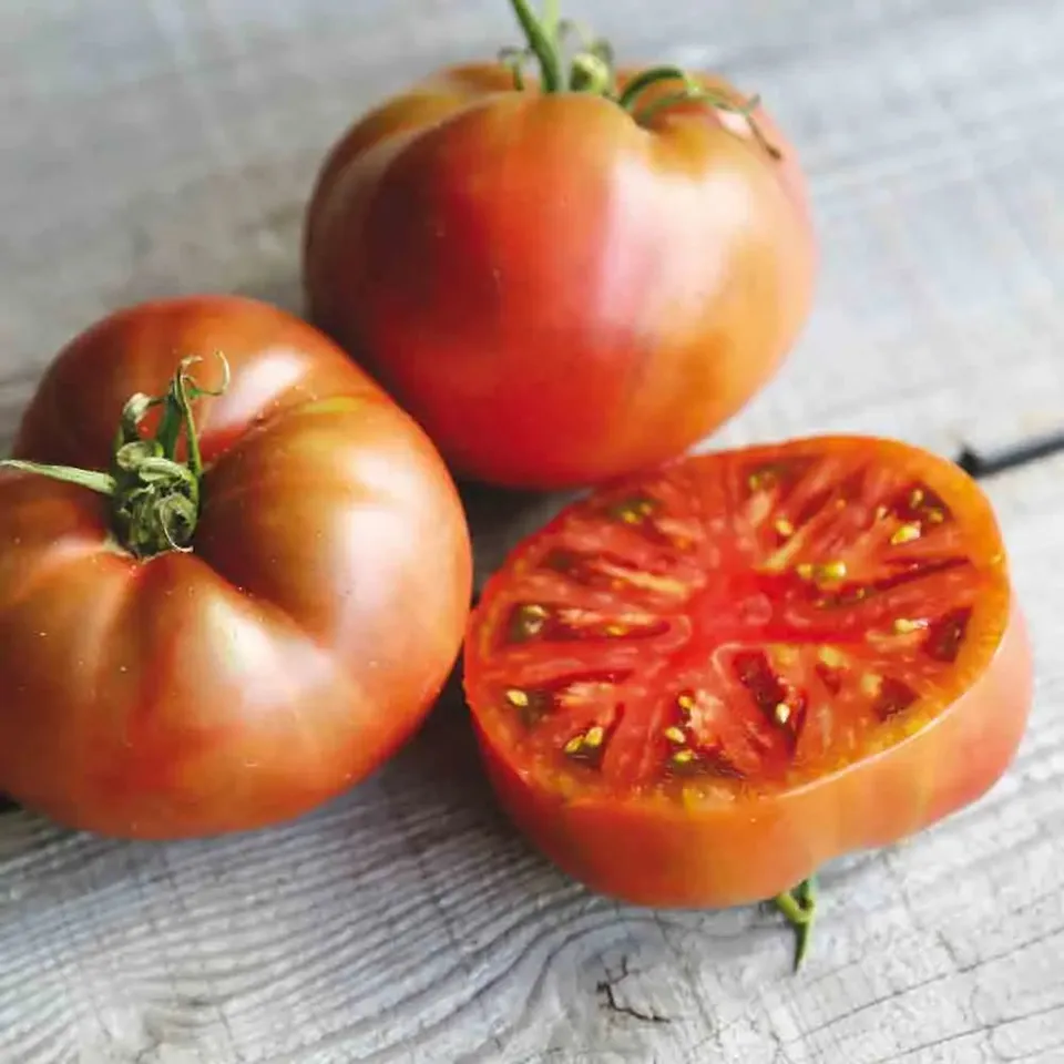 ferme-de-sainte-marthe-tomate-carbon-graines-bio-antigaspi-en-sachet image 1