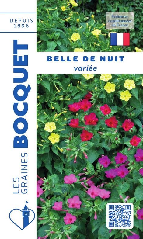 graines-bocquet-graines-de-fleurs-belle-de-nuit-vari-e-graines-3-g image 1
